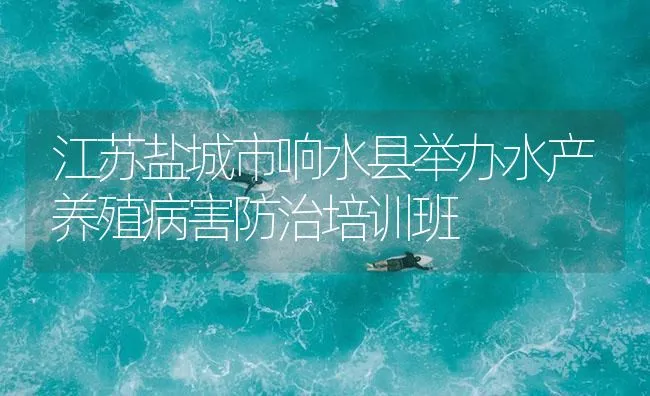 江苏盐城市响水县举办水产养殖病害防治培训班 | 海水养殖技术