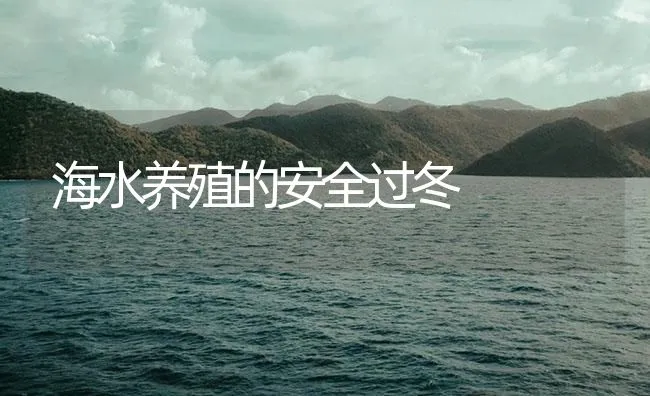 海水养殖的安全过冬 | 海水养殖技术