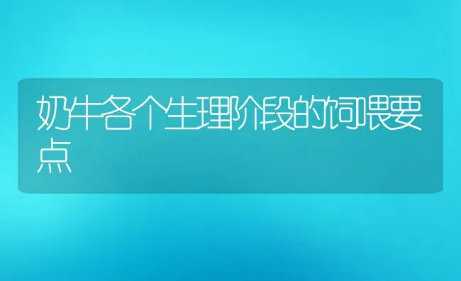 奶牛各个生理阶段的饲喂要点 | 动物养殖饲料