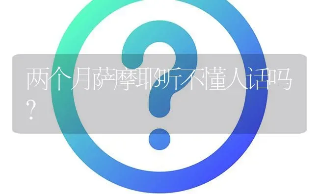 公边牧多大最好看？ | 动物养殖问答