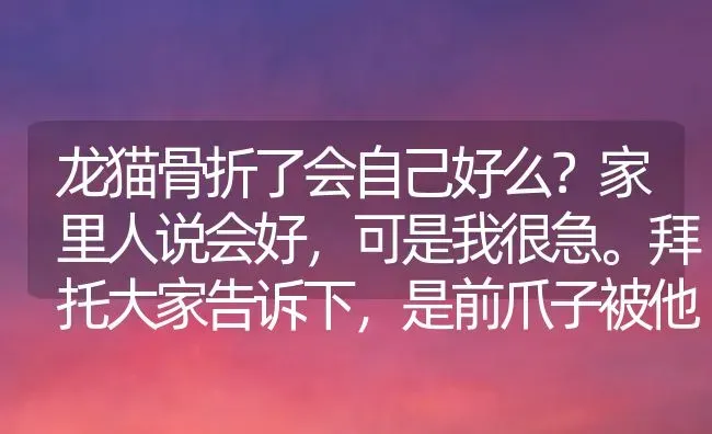 龙猫骨折了会自己好么？家里人说会好，可是我很急。拜托大家告诉下，是前爪子被他自己的食缸砸到的？ | 动物养殖问答