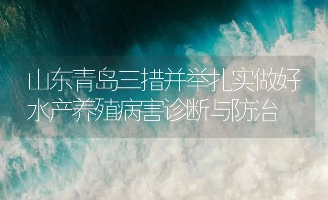 山东青岛三措并举扎实做好水产养殖病害诊断与防治 | 海水养殖技术