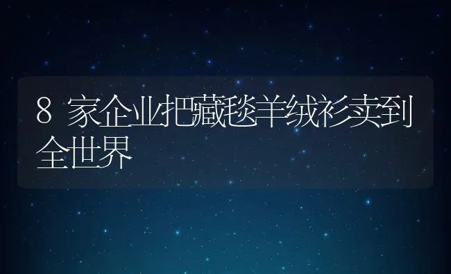 8家企业把藏毯羊绒衫卖到全世界 | 动物养殖饲料