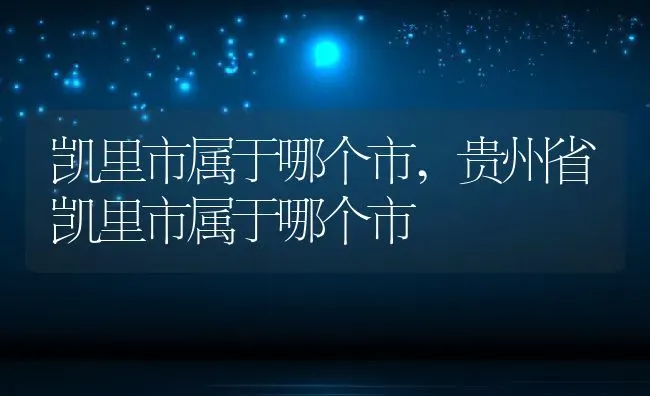 凯里市属于哪个市,贵州省凯里市属于哪个市 | 宠物百科知识