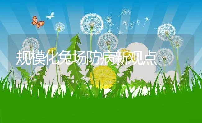 规模化兔场防病新观点 | 水产养殖知识