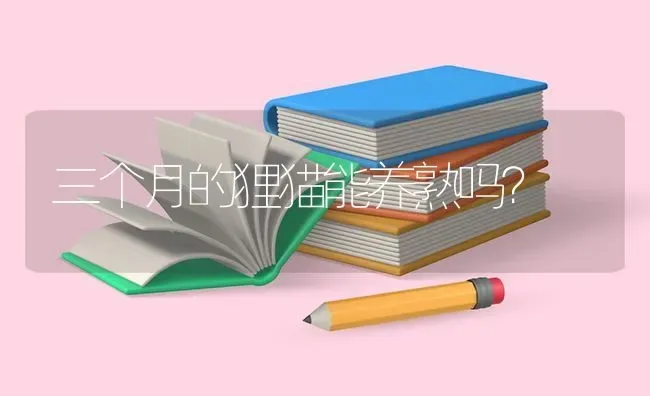 三个月的狸猫能养熟吗？ | 动物养殖问答