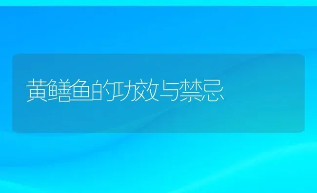 黄鳝鱼的功效与禁忌 | 动物养殖百科