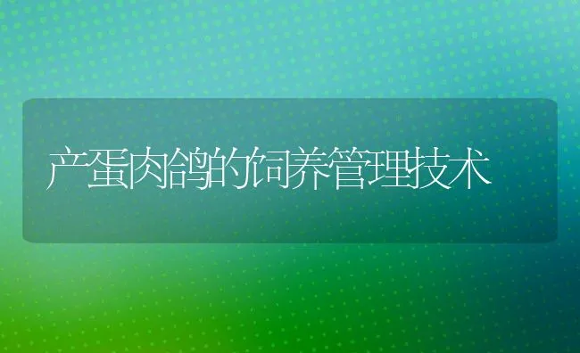 新购仔猪防疫四步走 | 动物养殖学堂