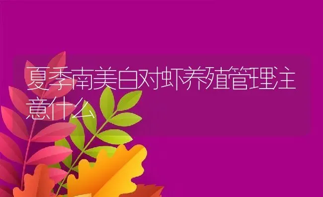 夏季南美白对虾养殖管理注意什么 | 动物养殖教程