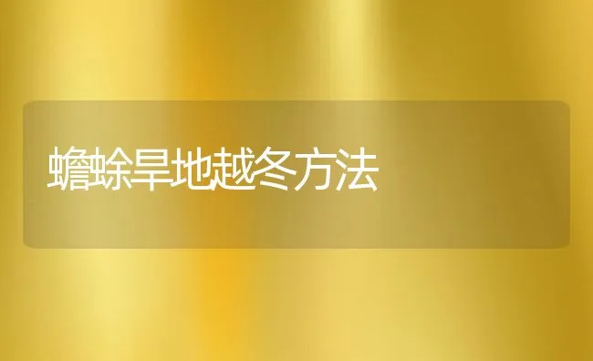 河蟹亲蟹池管理要点 | 海水养殖技术