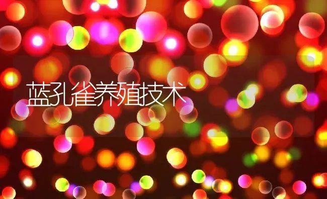 蓝孔雀养殖技术 | 动物养殖百科