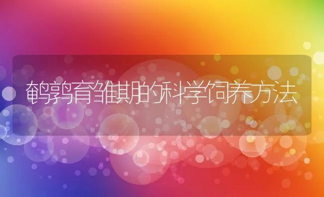 鹌鹑育雏期的科学饲养方法 | 动物养殖学堂