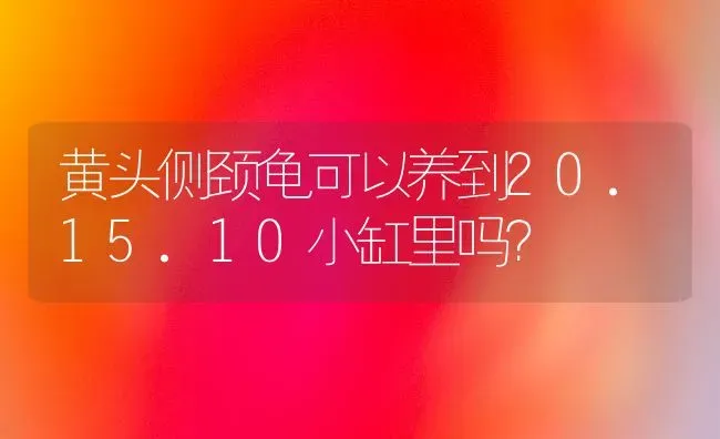 黄头侧颈龟可以养到20.15.10小缸里吗？ | 动物养殖问答