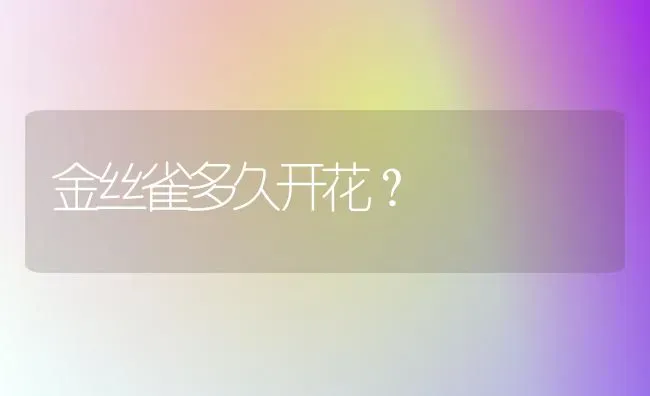 金丝雀多久开花？ | 动物养殖问答