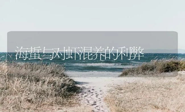 海蜇与对虾混养的利弊 | 海水养殖技术