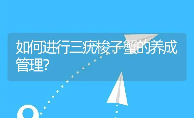 鲫鱼气泡病 | 海水养殖技术