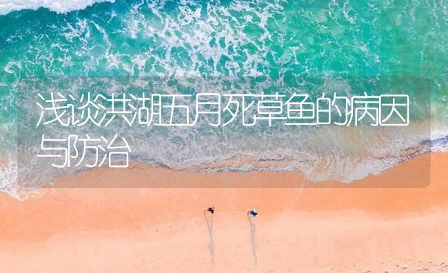 浅谈洪湖五月死草鱼的病因与防治 | 海水养殖技术