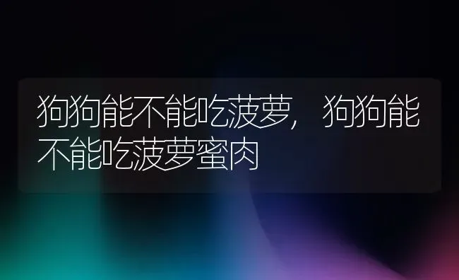 狗狗能不能吃菠萝,狗狗能不能吃菠萝蜜肉 | 宠物百科知识