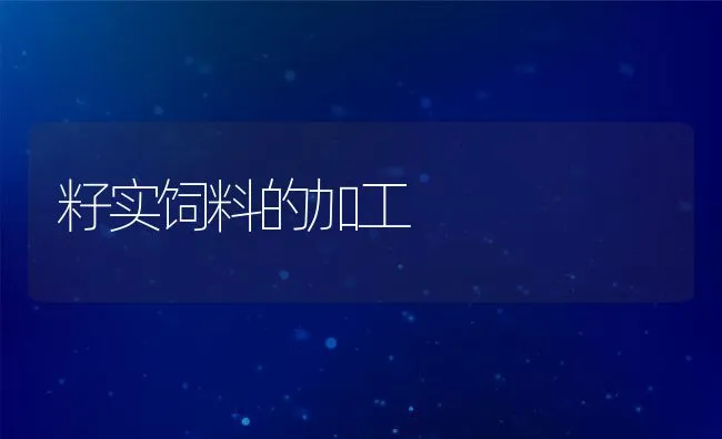 果园生态养殖兔管理要点 | 动物养殖学堂