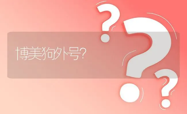 博美狗外号？ | 动物养殖问答