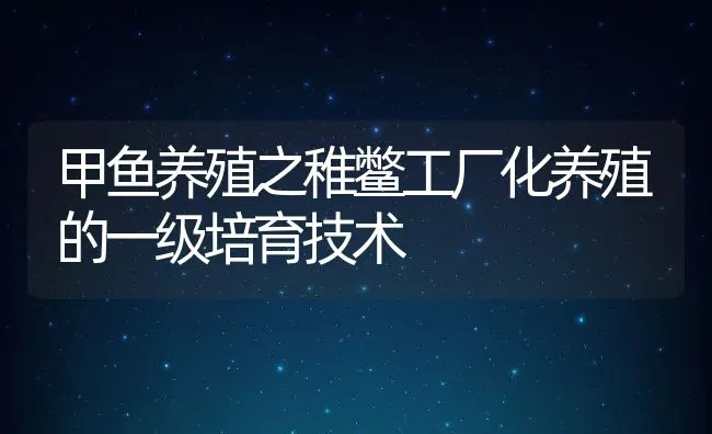 甲鱼养殖之稚鳖工厂化养殖的一级培育技术 | 动物养殖学堂