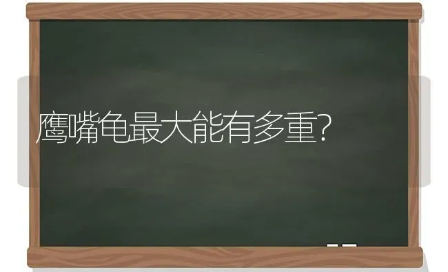 鹰嘴龟最大能有多重？ | 动物养殖问答