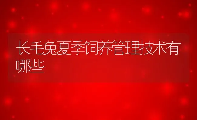 长毛兔夏季饲养管理技术有哪些 | 动物养殖百科