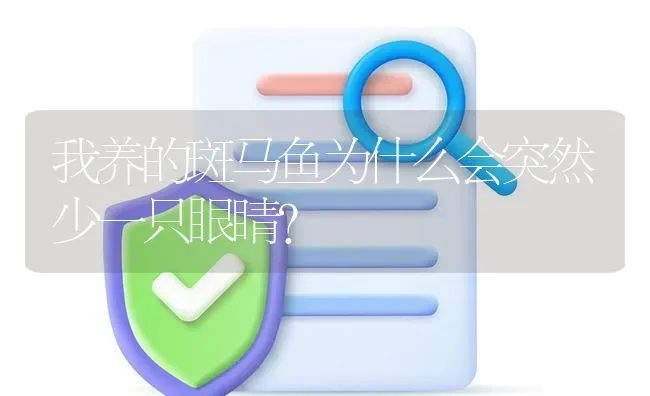 我养的斑马鱼为什么会突然少一只眼睛？ | 鱼类宠物饲养