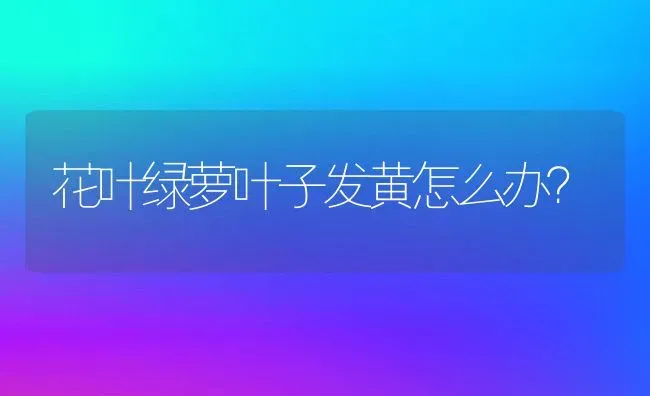 花叶绿萝叶子发黄怎么办？ | 动物养殖百科