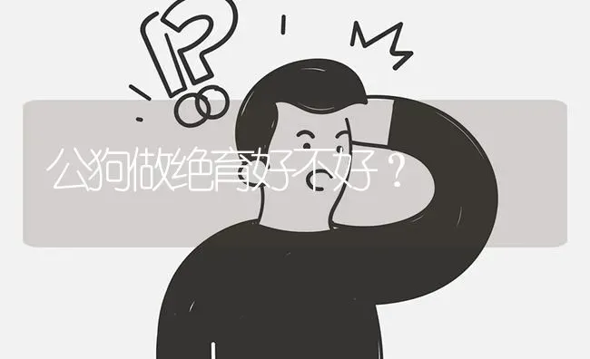 公狗做绝育好不好？ | 动物养殖问答