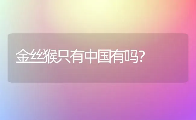 金丝猴只有中国有吗？ | 动物养殖问答