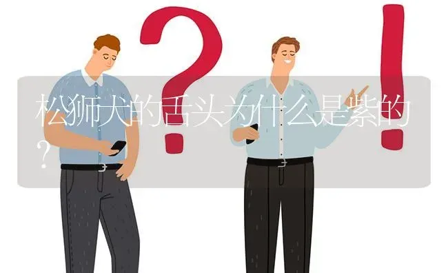 松狮犬的舌头为什么是紫的？ | 动物养殖问答