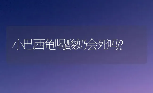 小巴西龟喝酸奶会死吗？ | 动物养殖问答