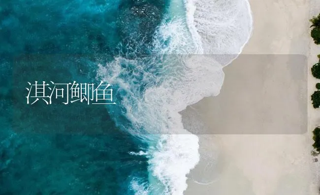 淇河鲫鱼 | 海水养殖技术