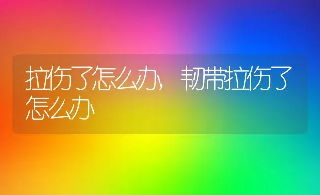 拉伤了怎么办,韧带拉伤了怎么办 | 宠物百科知识