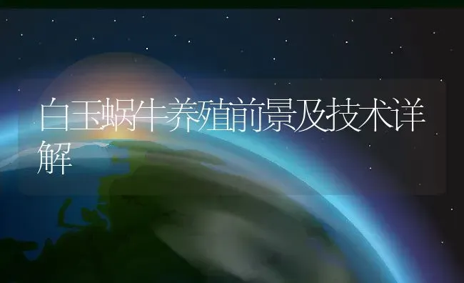 白玉蜗牛养殖前景及技术详解 | 动物养殖百科