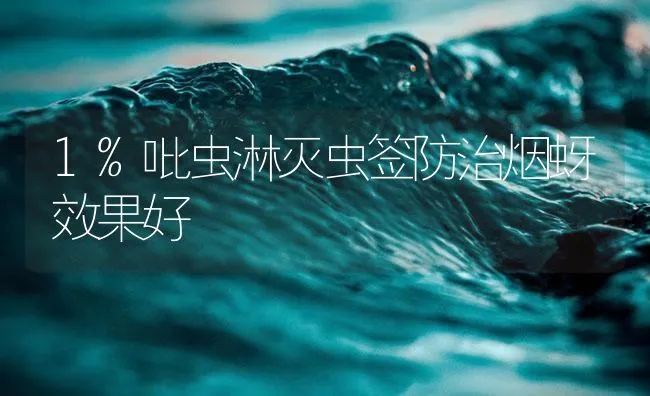 1%吡虫淋灭虫签防治烟蚜效果好 | 海水养殖技术