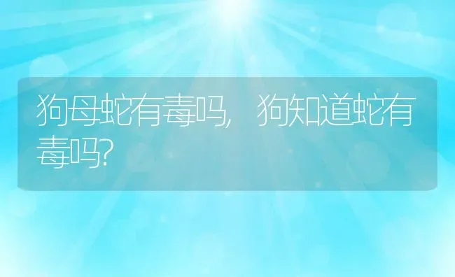 狗母蛇有毒吗,狗知道蛇有毒吗? | 宠物百科知识