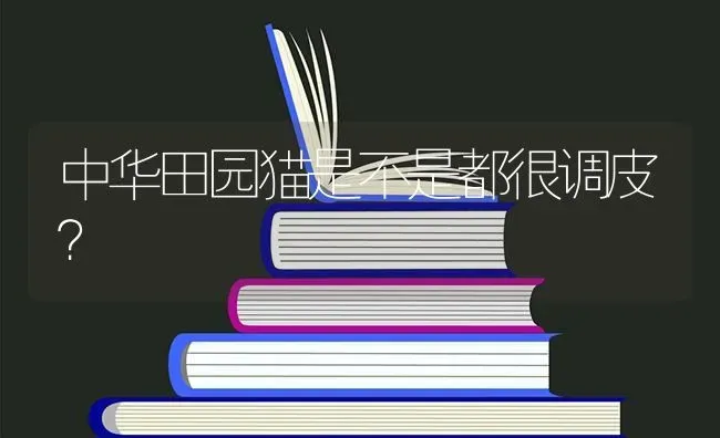 中华田园猫是不是都很调皮？ | 动物养殖问答