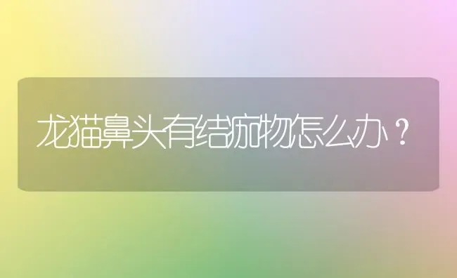 佛鳄龟嘴掉了一块，还能长好吗？ | 动物养殖问答