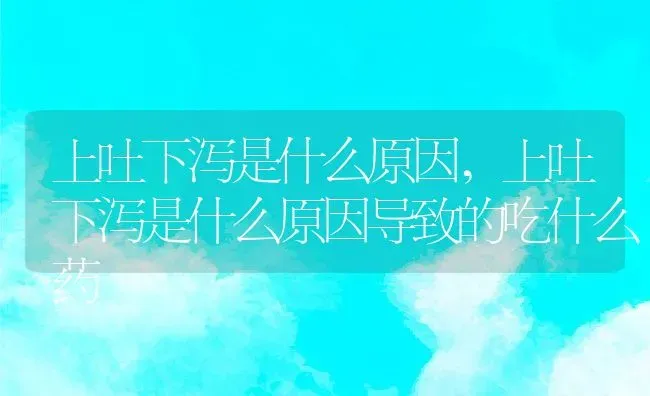 上吐下泻是什么原因,上吐下泻是什么原因导致的吃什么药 | 宠物百科知识