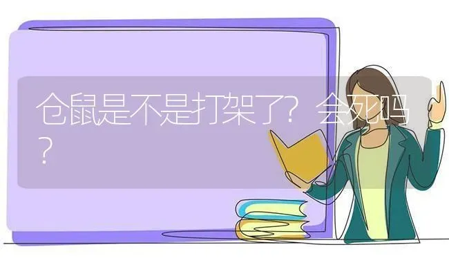 仓鼠是不是打架了?会死吗？ | 动物养殖问答