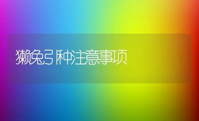 獭兔引种注意事项 | 家畜养殖技术