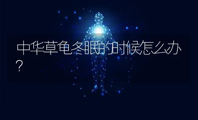 中华草龟冬眠的时候怎么办？ | 动物养殖问答