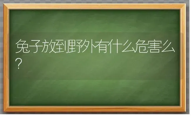 兔子放到野外有什么危害么？ | 动物养殖问答