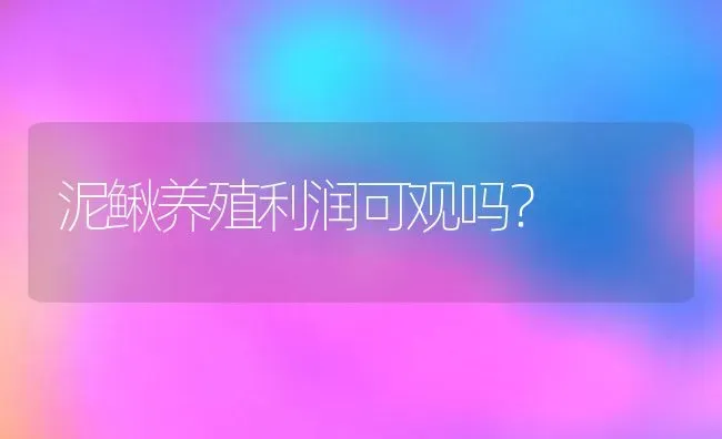 泥鳅养殖利润可观吗？ | 动物养殖百科