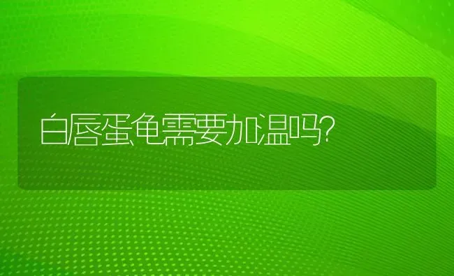 白唇蛋龟需要加温吗？ | 动物养殖问答