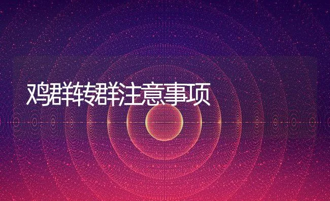 精料喂羊过量谨防瘤胃酸中毒 | 动物养殖学堂