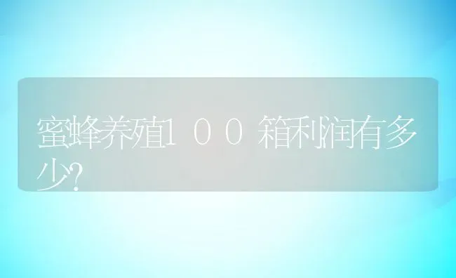 蜜蜂养殖100箱利润有多少？ | 动物养殖百科