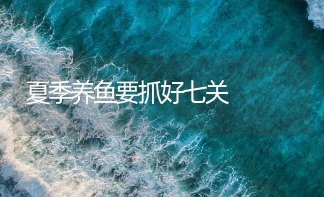 夏季养鱼要抓好七关 | 海水养殖技术